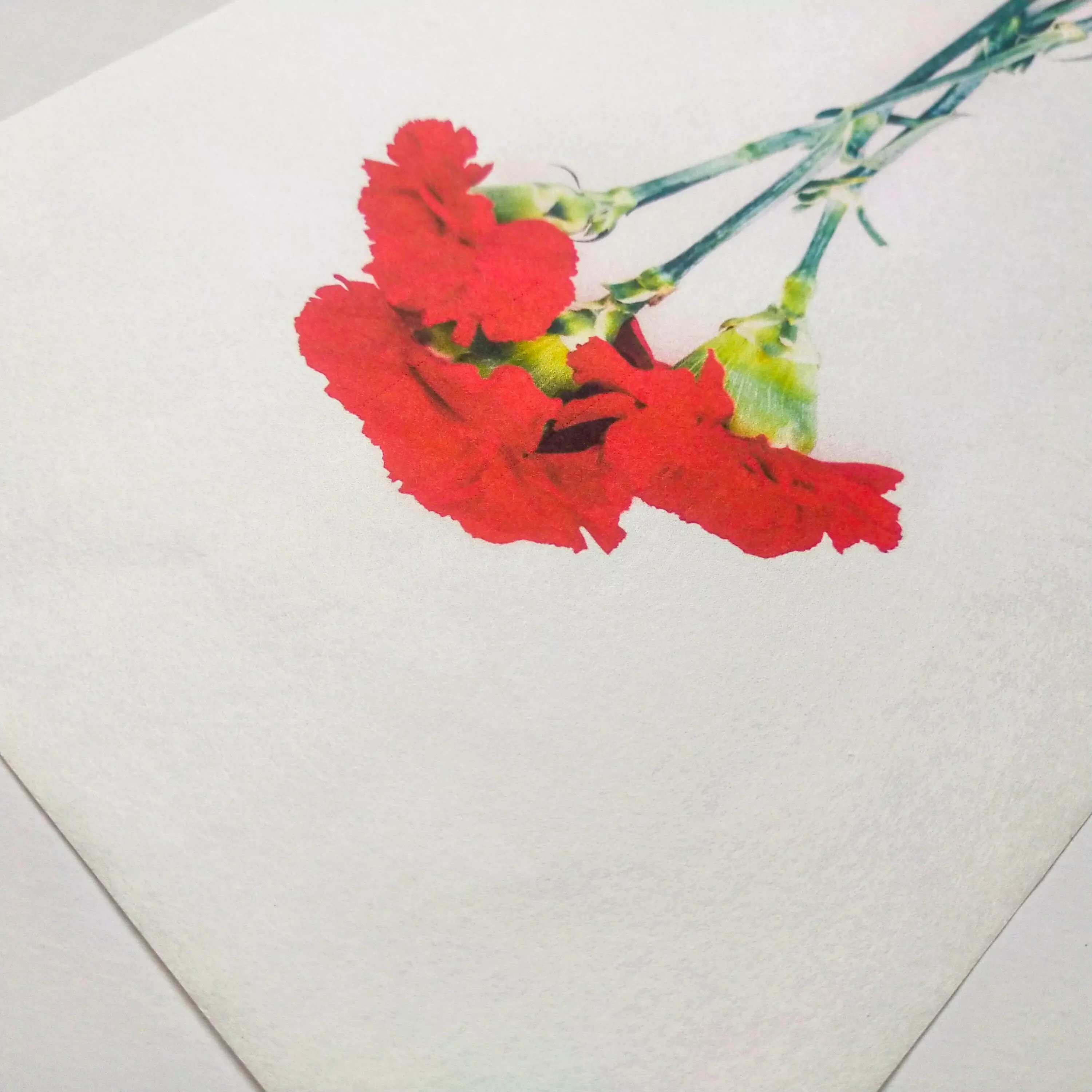 A4 Decoupage Plain Mulberry Paper (40 Sheets, 30 gsm) - Image 7