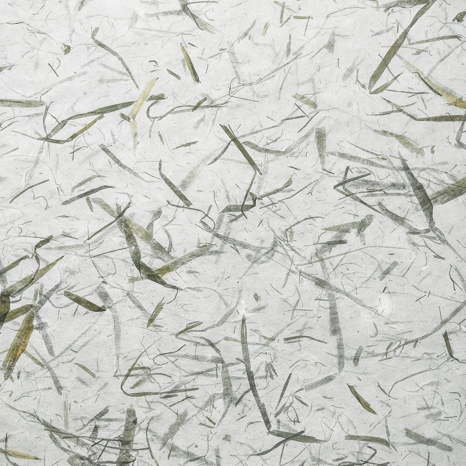Bamboo Leaf Kozo Paper - Image 3