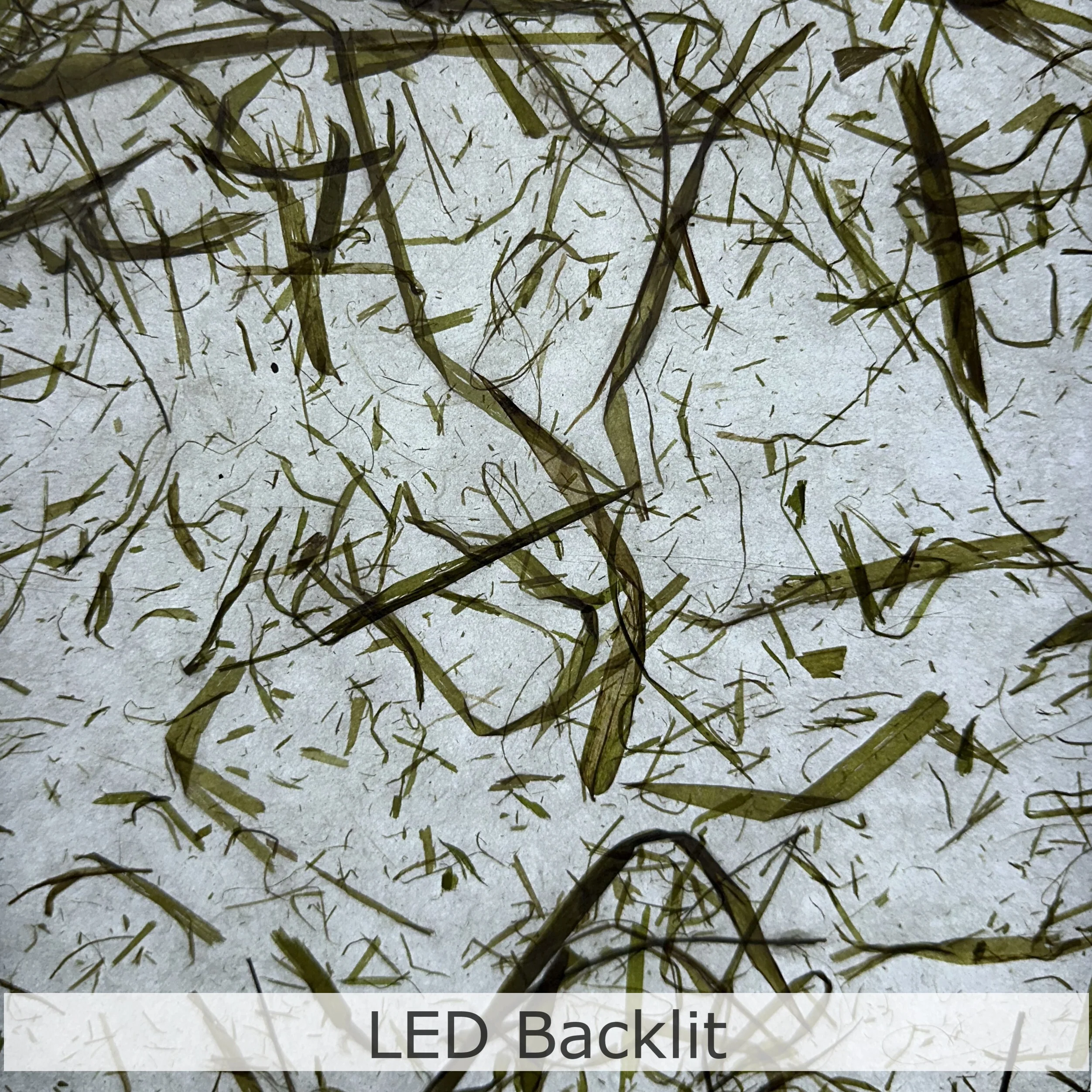 Bamboo Leaf Kozo Paper - Image 7