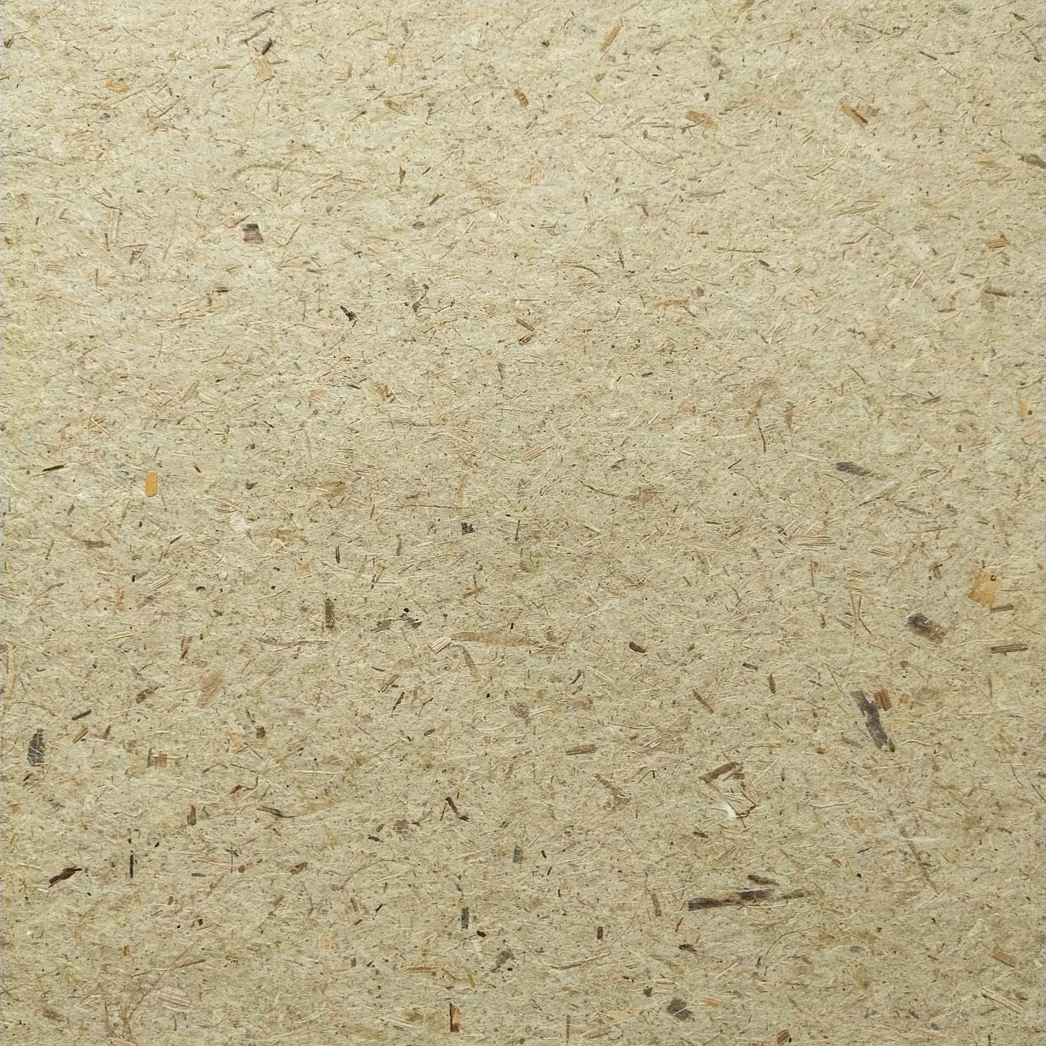 Banana Paper - Image 3