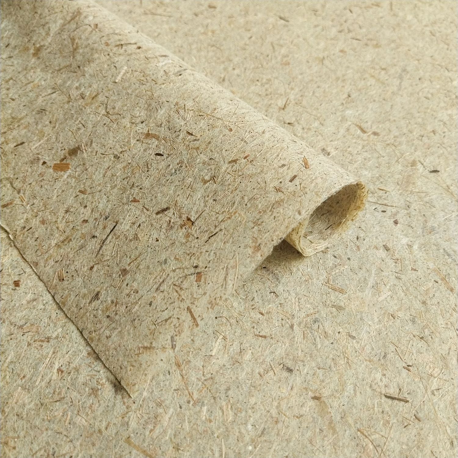 Banana Paper - Image 4