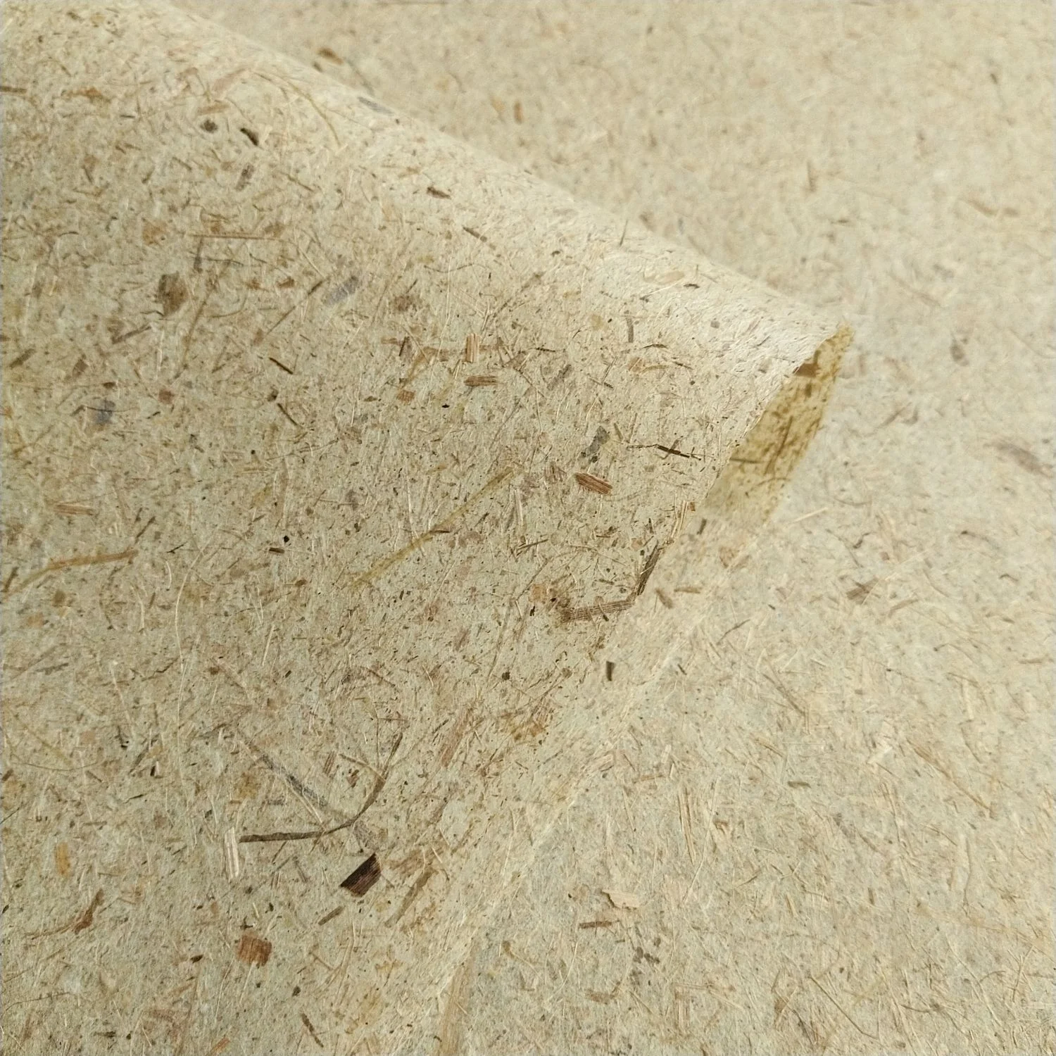 Banana Paper - Image 5