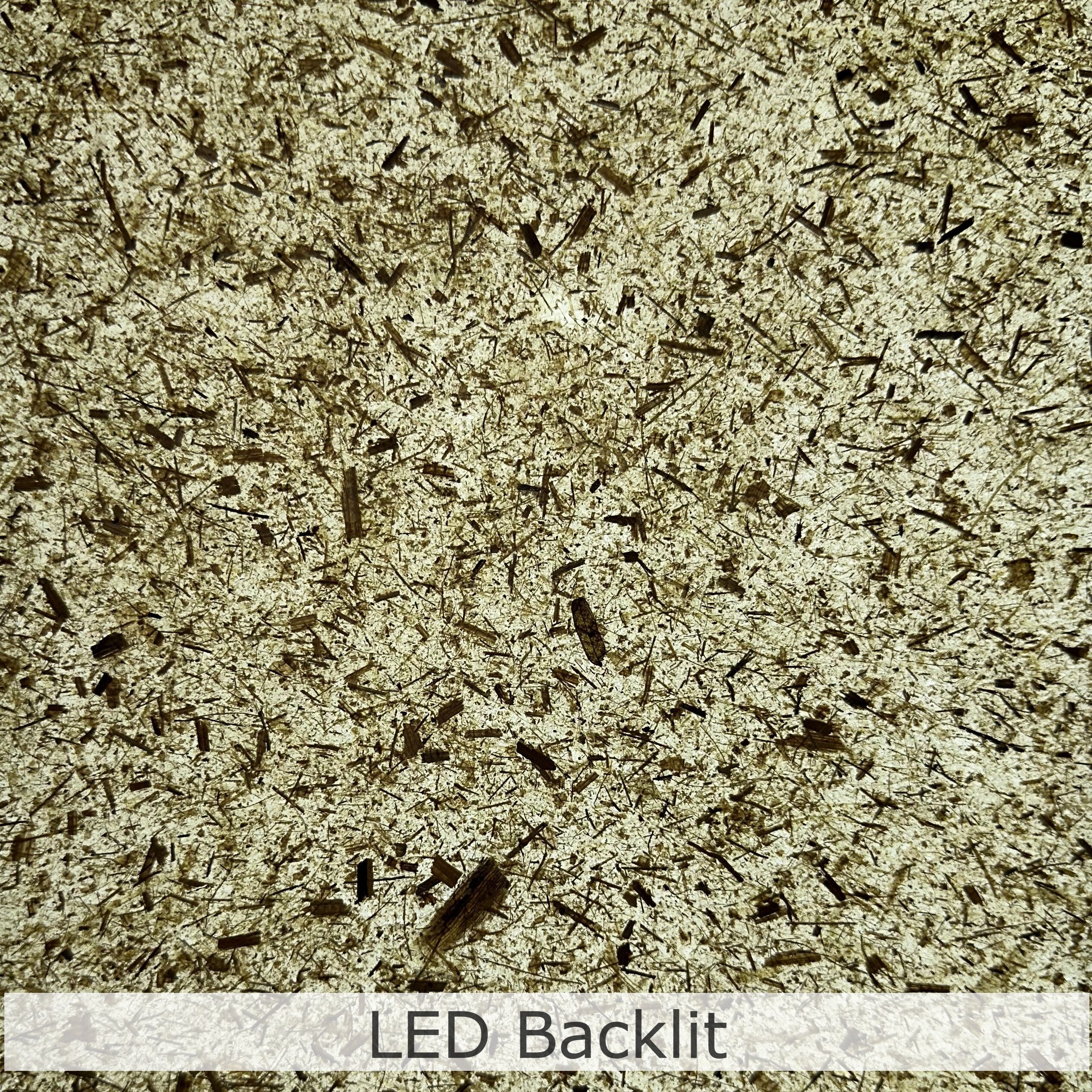 Banana Paper - Image 7