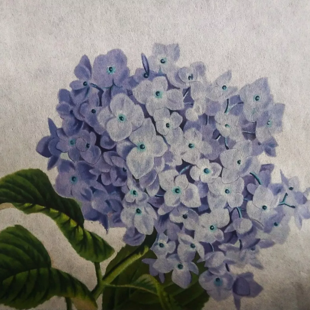 A4 Extra Thin Natural Kozo Paper (10 sheets, 35 gsm) - Image 5