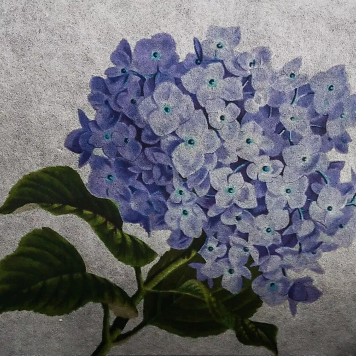 A4 Extra Thin White Kozo Paper (10 sheets, 25 gsm) - Image 5