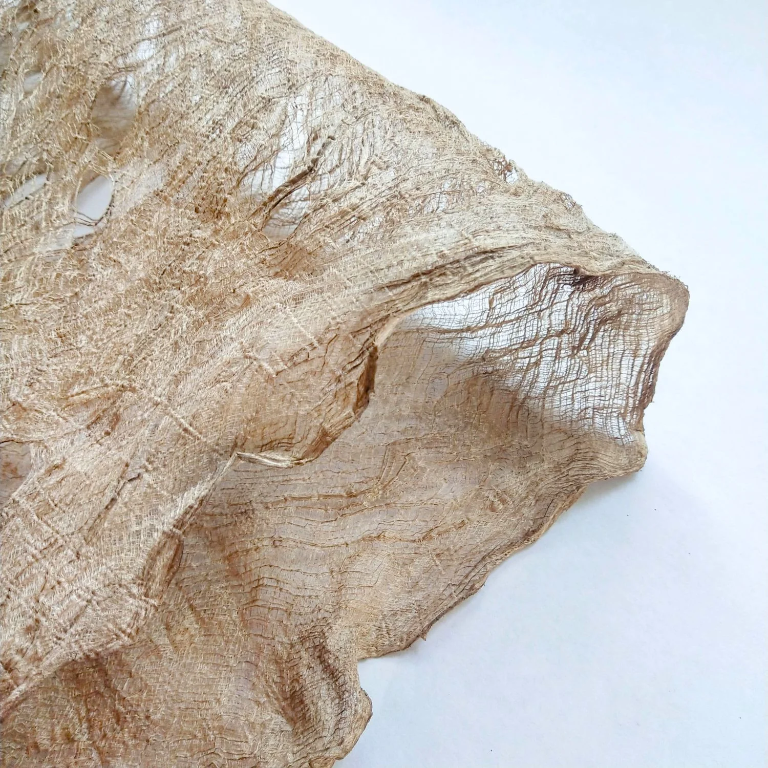 Flexi Mulberry Bark - Image 7