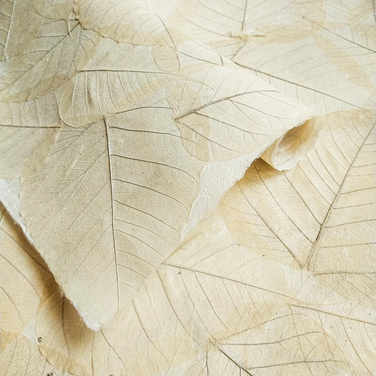 Handmade Buddha Leaf Kozo Paper (Natural) - Image 3