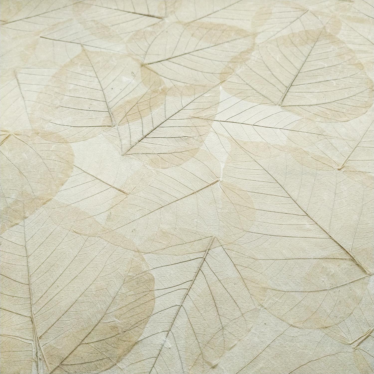 Handmade Buddha Leaf Kozo Paper (Natural) - Image 4