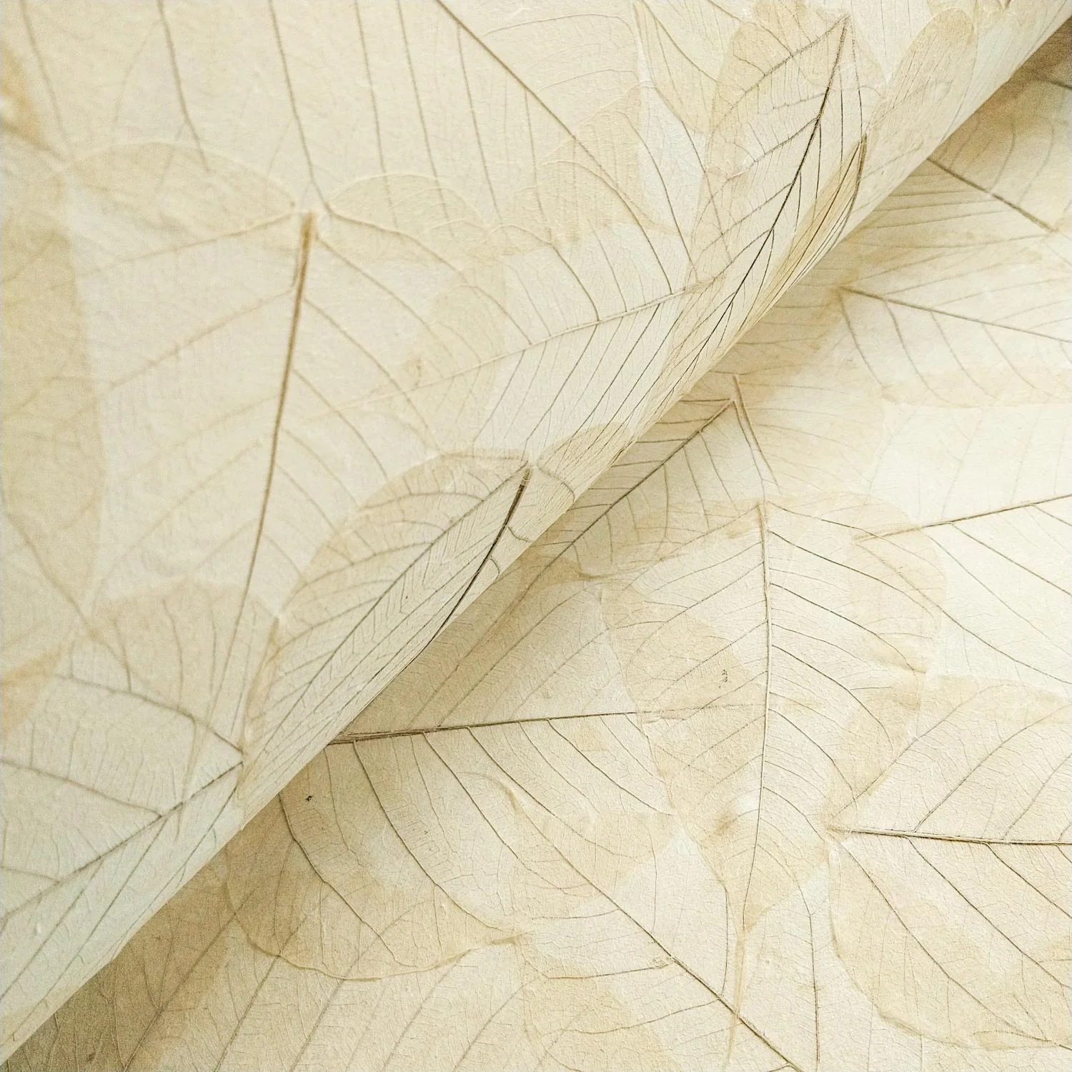 Handmade Buddha Leaf Kozo Paper (Natural) - Image 5