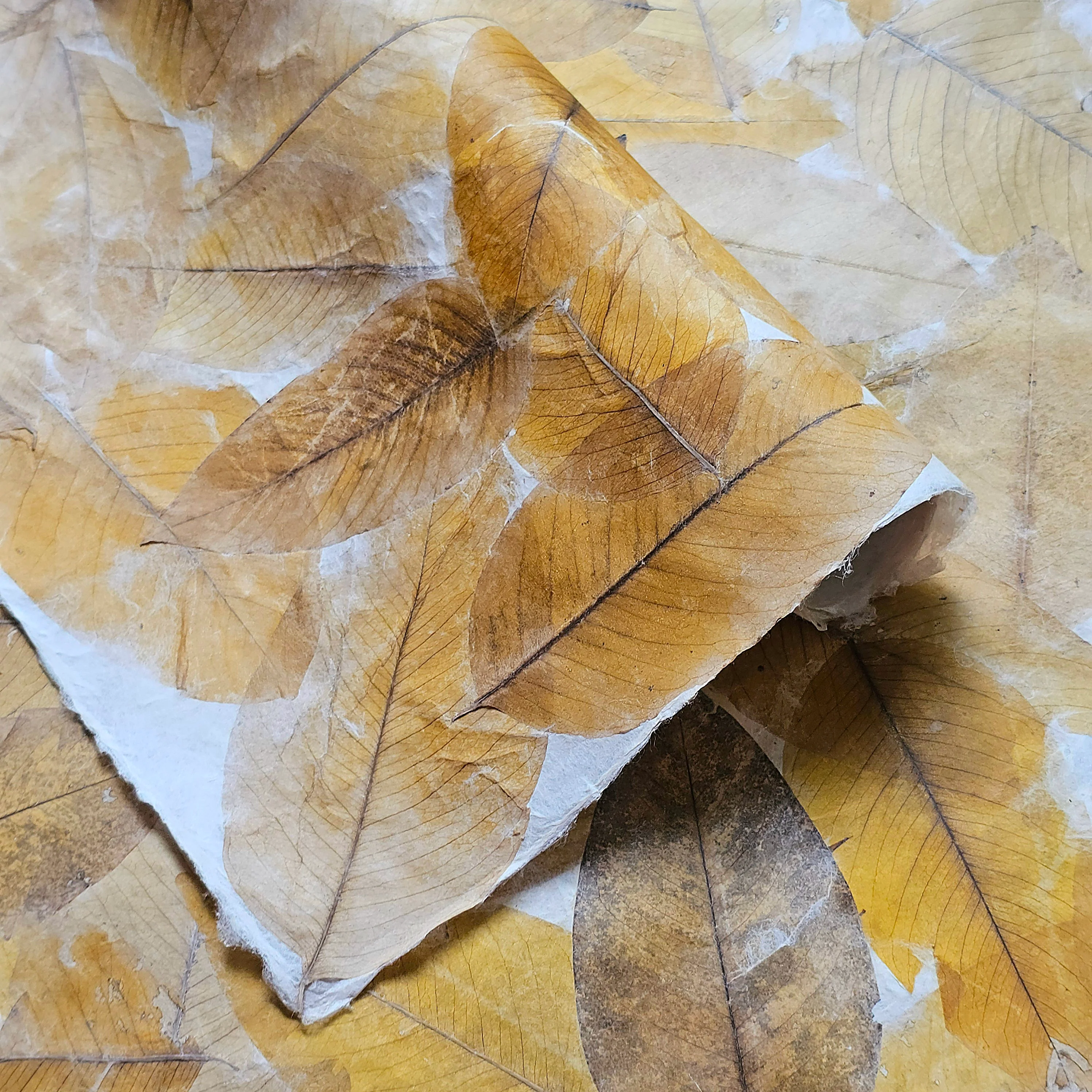 Handmade Cassia Leaf Kozo Paper - Image 3