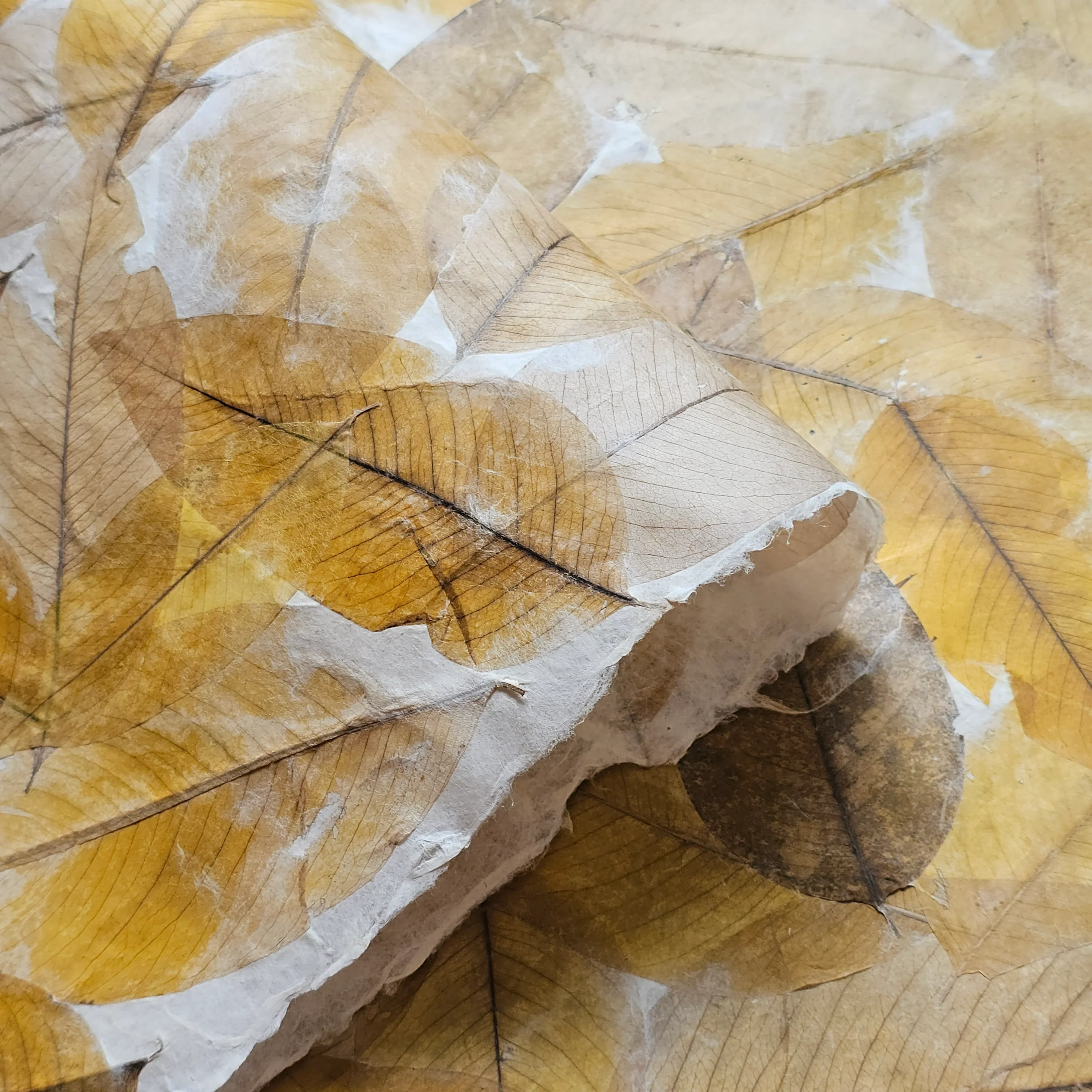 Handmade Cassia Leaf Kozo Paper - Image 5