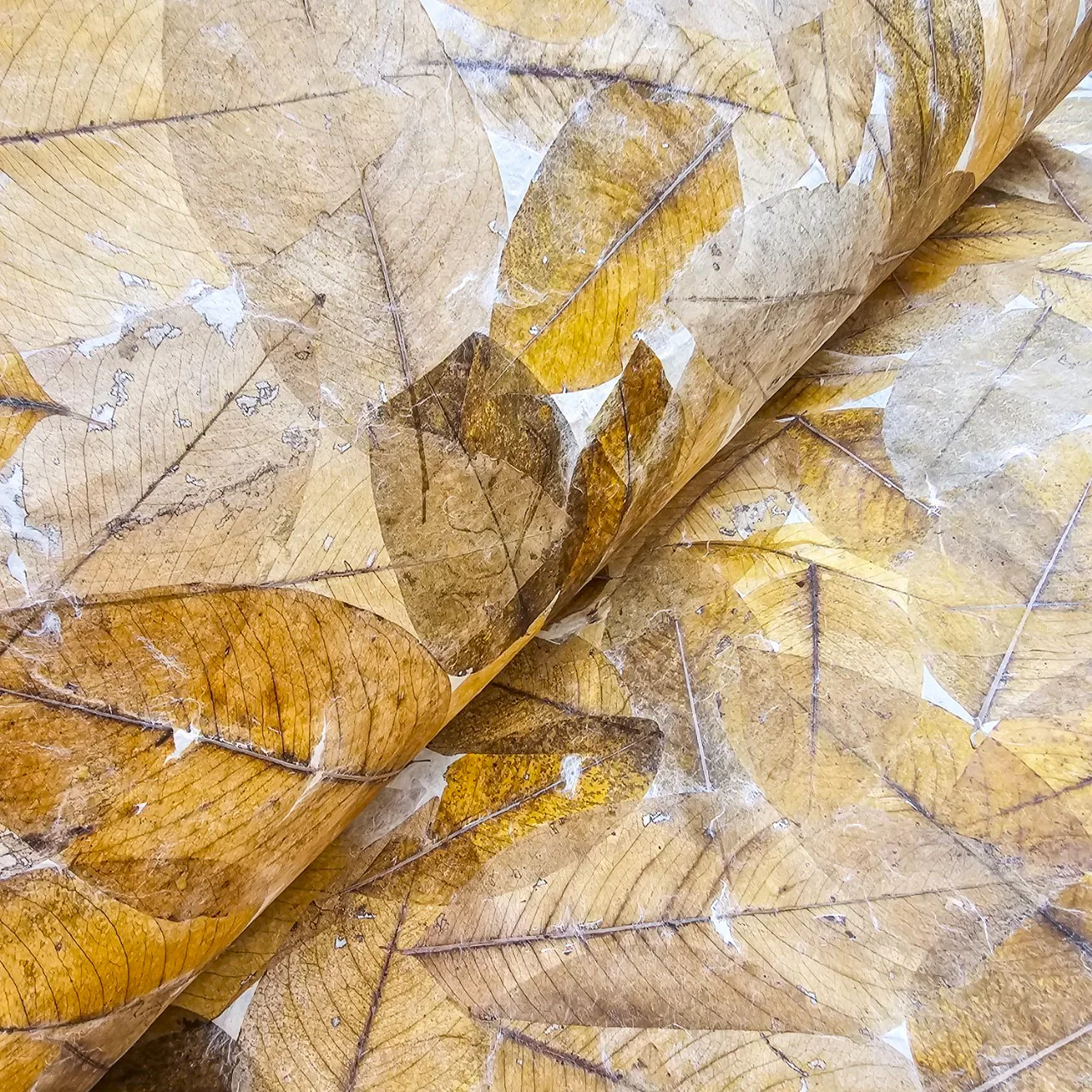 Handmade Cassia Leaf Kozo Paper - Image 6