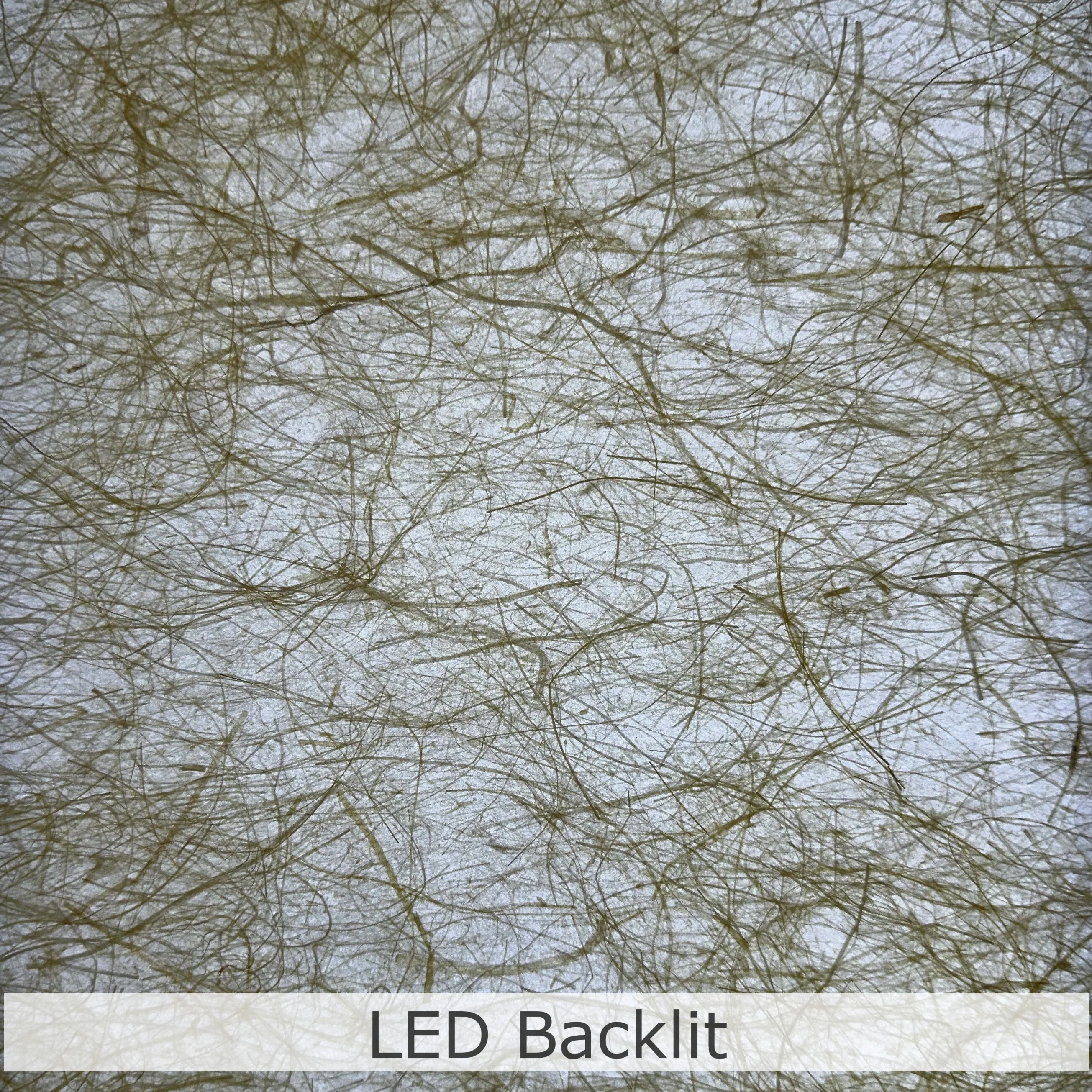 Kinwashi (Natural Abaca Paper) - Image 7