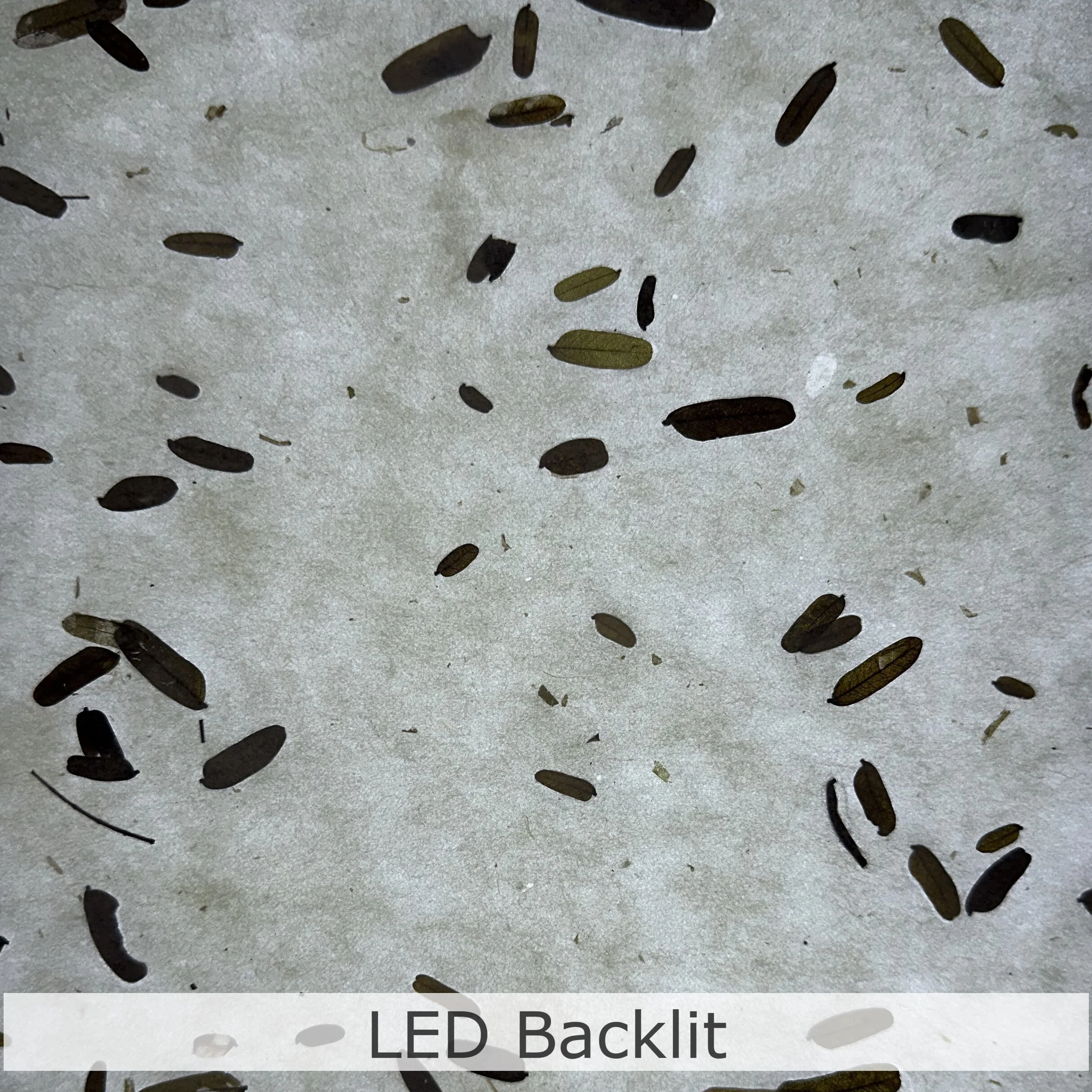 Tamarind Confetti Kozo Paper - Image 6