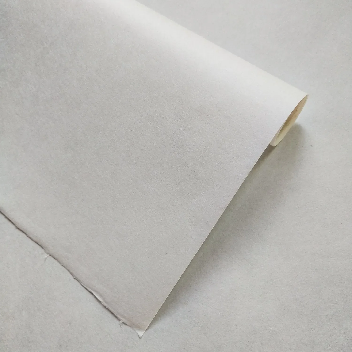 White Kozo Paper (70 gsm, 64x94 cm) - Image 3